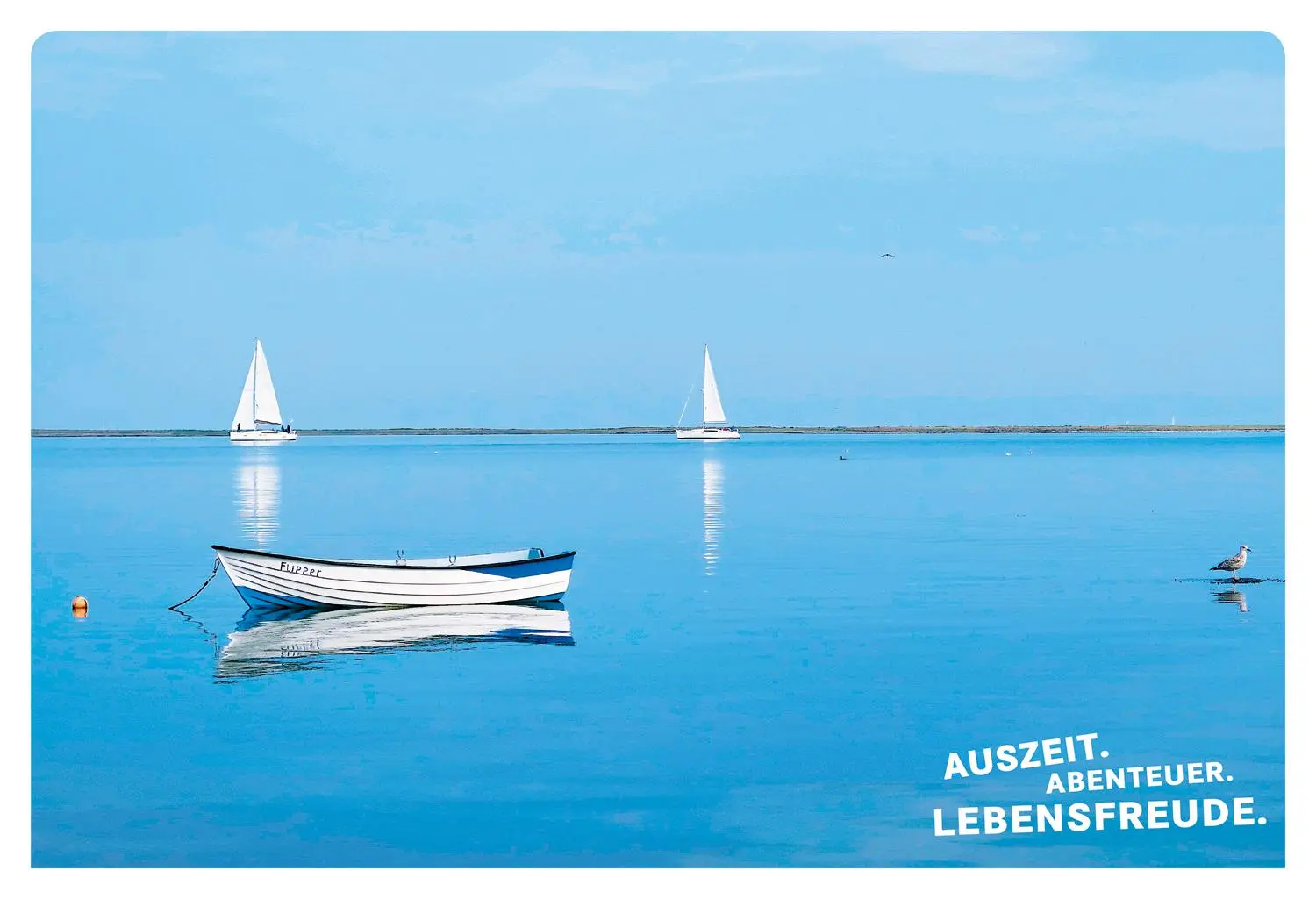 Bild: 9783770180868 | 52 kleine &amp; große Eskapaden in Schleswig-Holstein an der Ostsee | Sohr