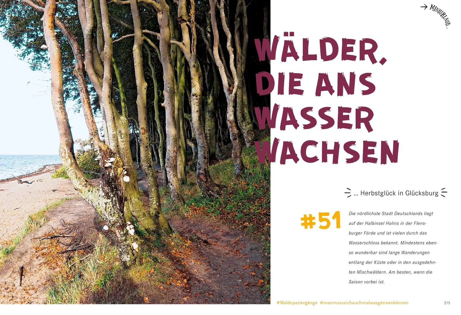 Bild: 9783770180868 | 52 kleine &amp; große Eskapaden in Schleswig-Holstein an der Ostsee | Sohr
