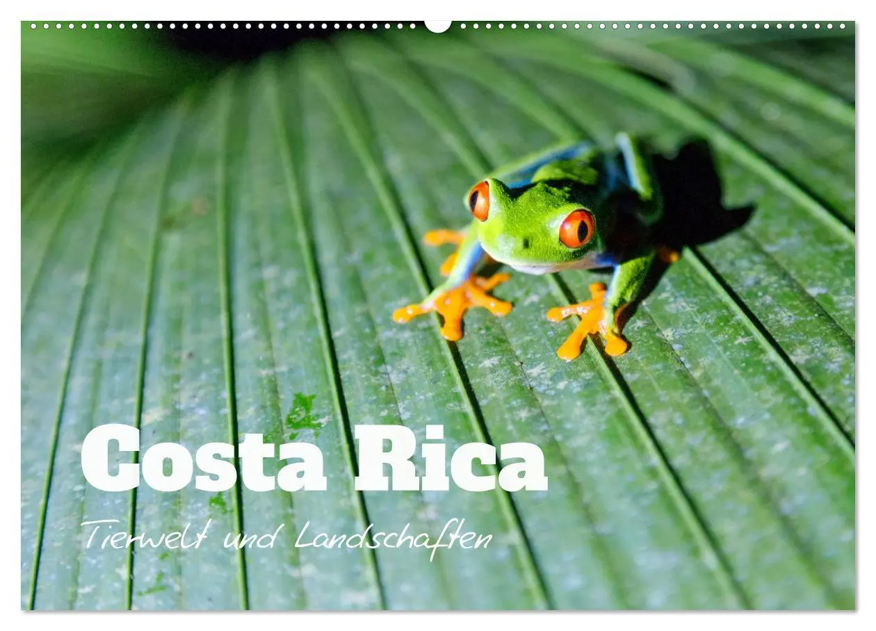 Cover: 9783457570968 | Costa Rica - Tierwelt und Landschaften (Wandkalender 2026 DIN A2...