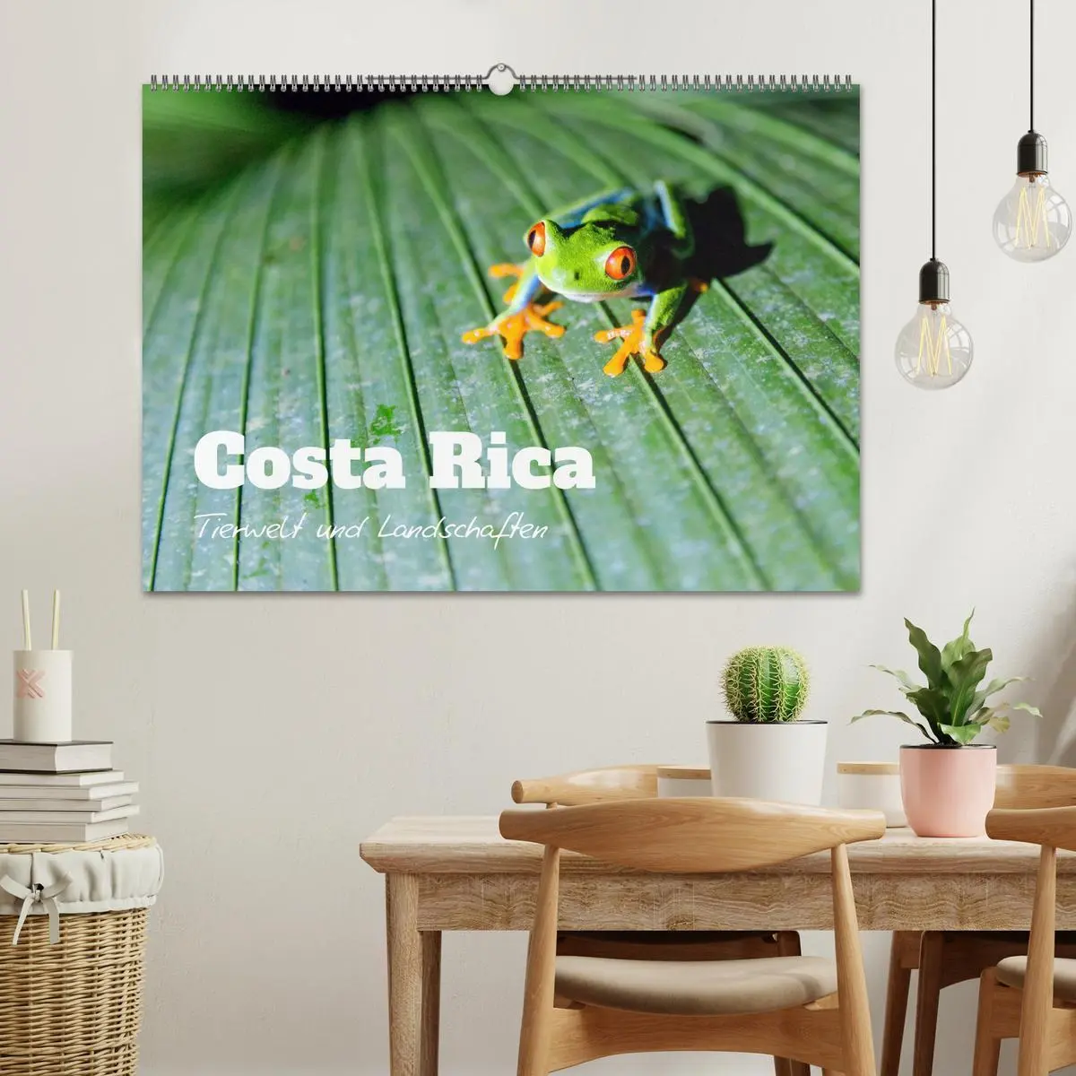 Bild: 9783457570968 | Costa Rica - Tierwelt und Landschaften (Wandkalender 2026 DIN A2...