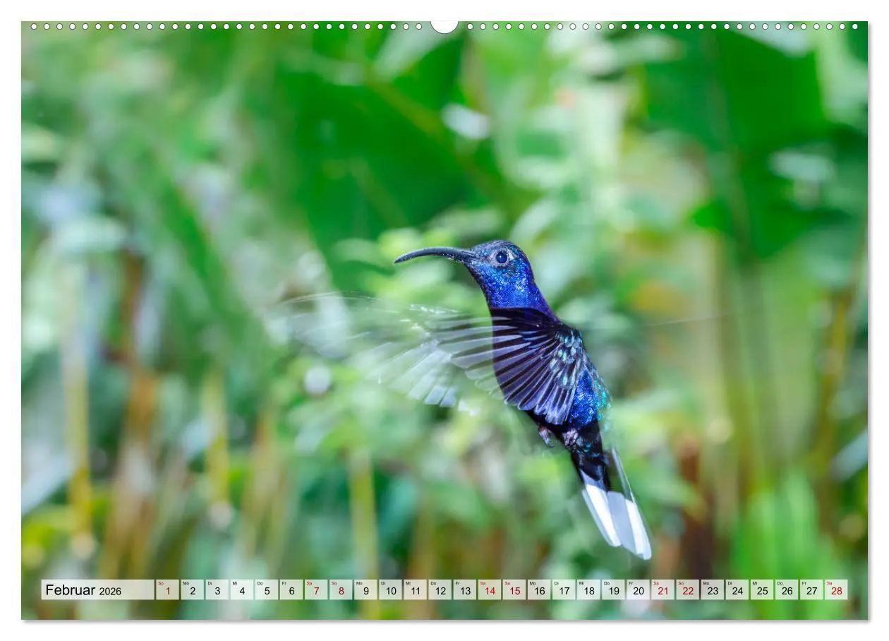 Bild: 9783457570968 | Costa Rica - Tierwelt und Landschaften (Wandkalender 2026 DIN A2...