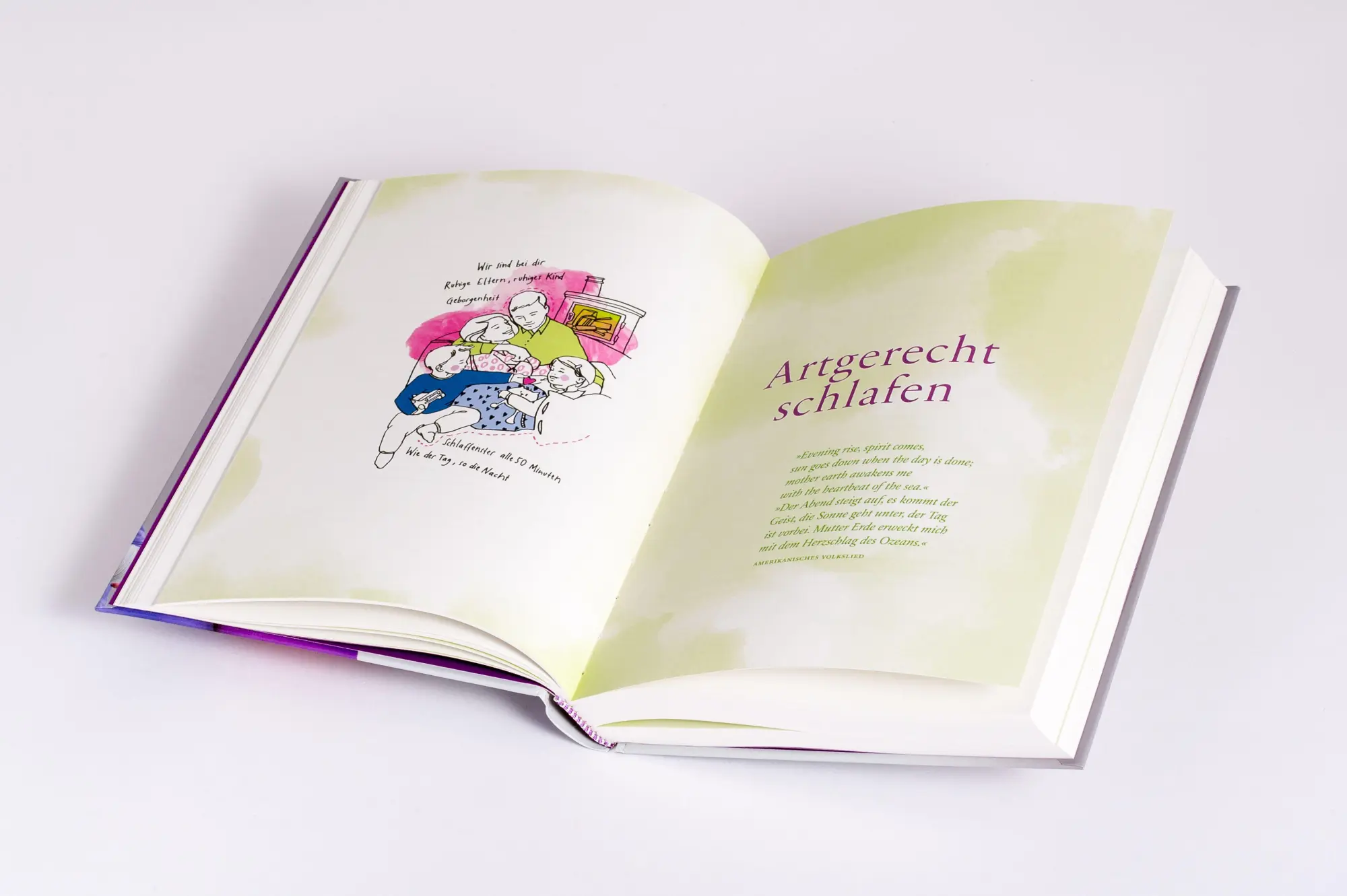 Bild: 9783466310968 | artgerecht - Das andere Kleinkinderbuch | Nicola Schmidt | Buch | 2018