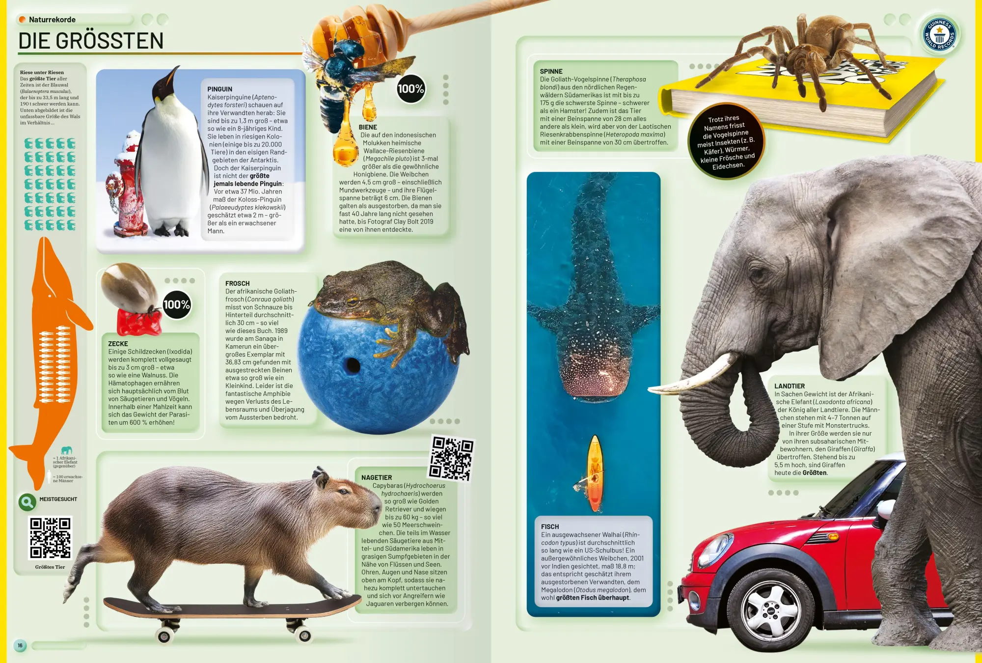 Bild: 9783473480968 | Guinness World Records - 2026 | Deutschsprachige Ausgabe | World