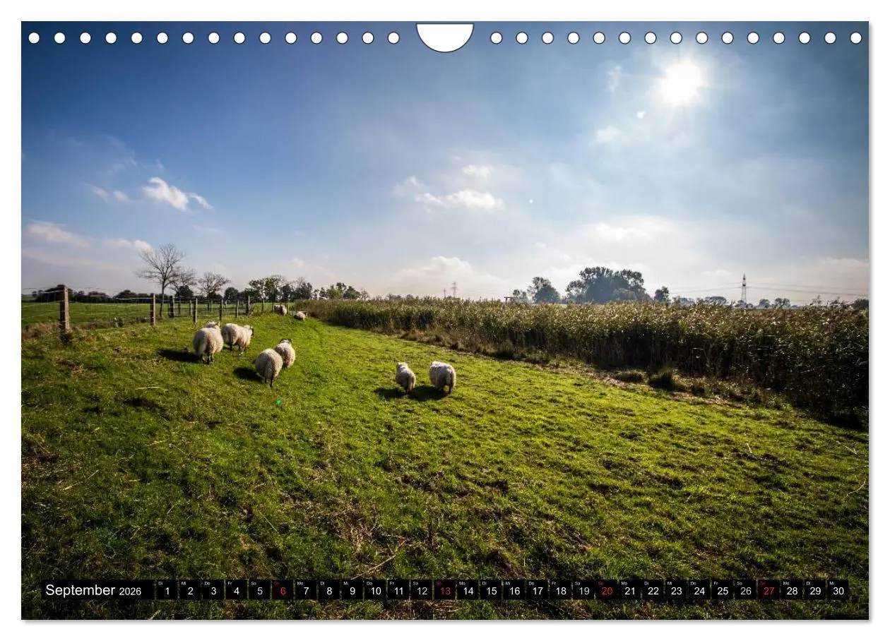 Bild: 9783516110968 | Schönes Ostfriesland (Wandkalender 2026 DIN A4 quer), CALVENDO...