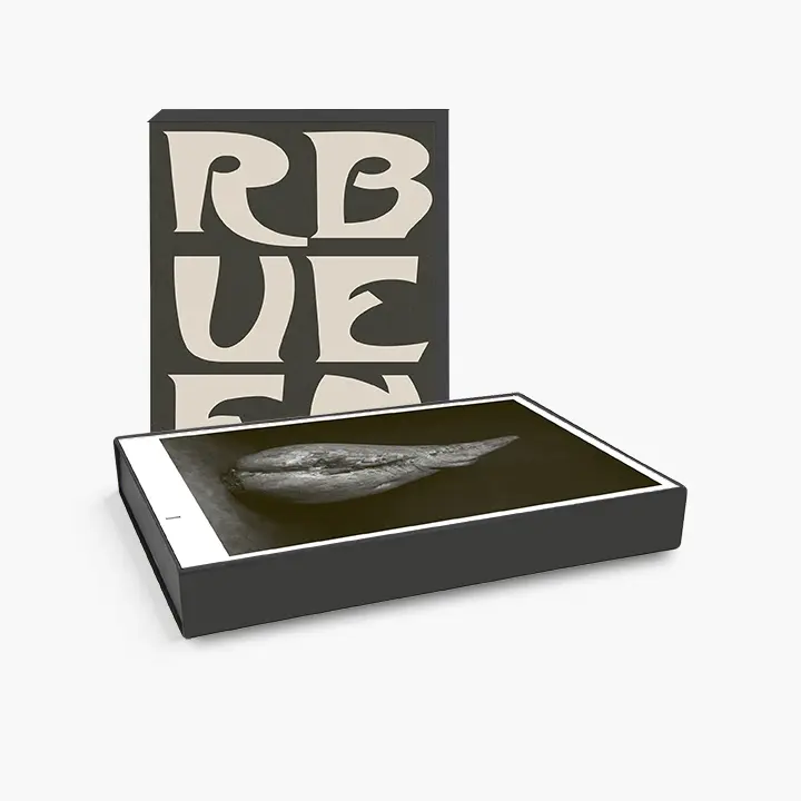 Bild: 9783960700968 | Ingar Krauss Zuckerrüben | Ingar Krauss | Buch | Loseblattausg. | 2023