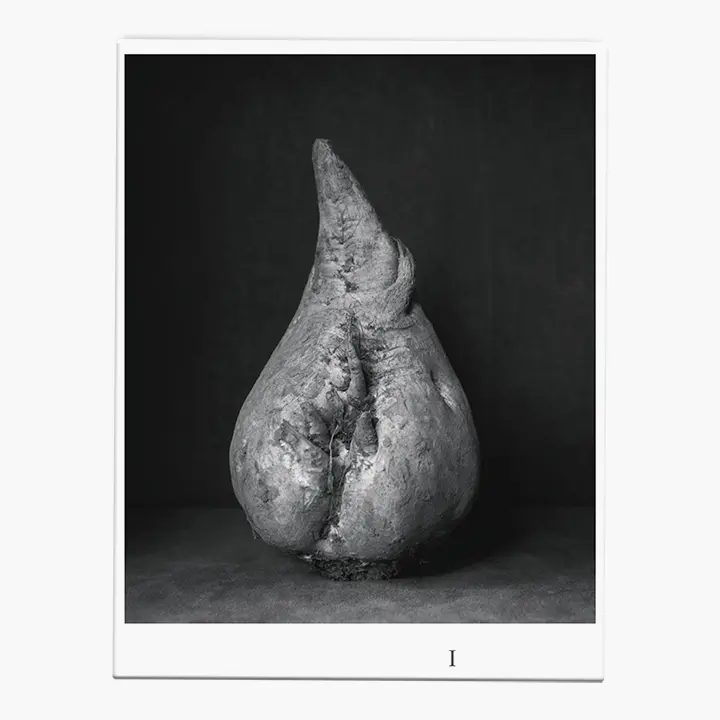 Bild: 9783960700968 | Ingar Krauss Zuckerrüben | Ingar Krauss | Buch | Loseblattausg. | 2023