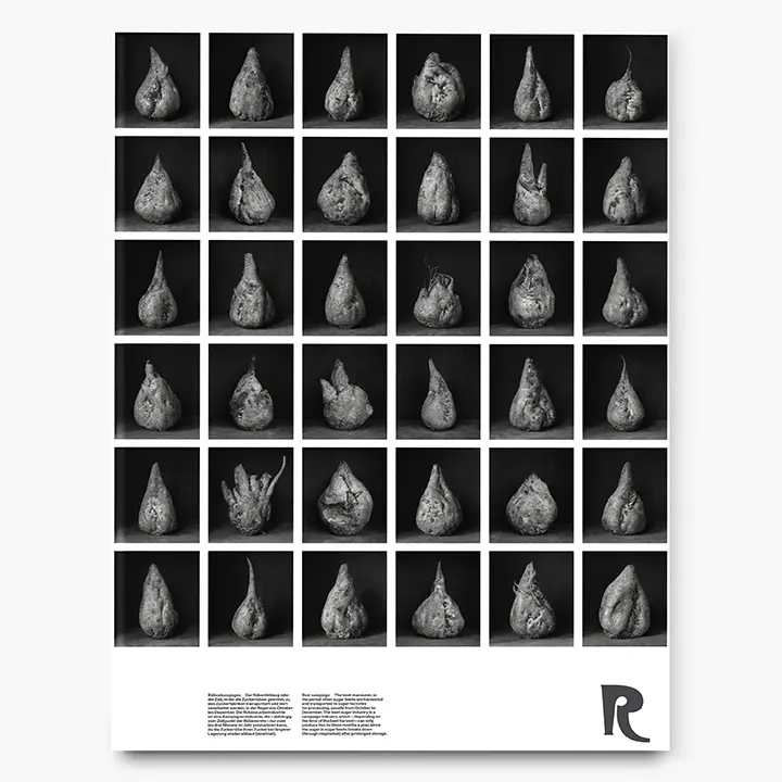 Bild: 9783960700968 | Ingar Krauss Zuckerrüben | Ingar Krauss | Buch | Loseblattausg. | 2023