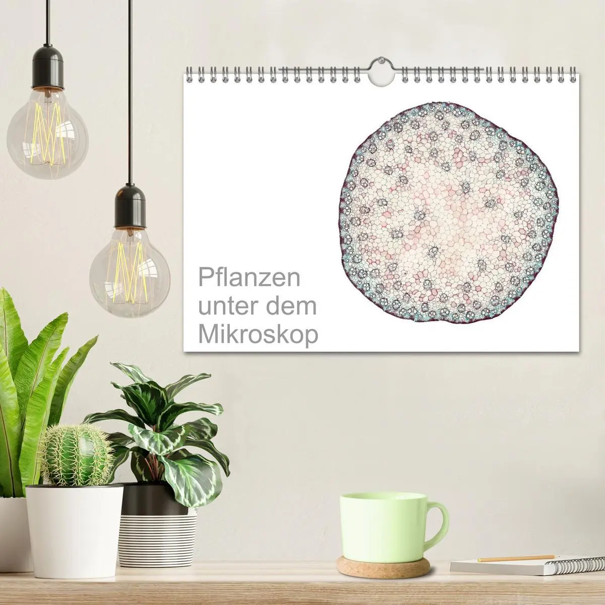 Bild: 9783457841068 | Pflanzen unter dem Mikroskop (Wandkalender 2026 DIN A4 quer),...