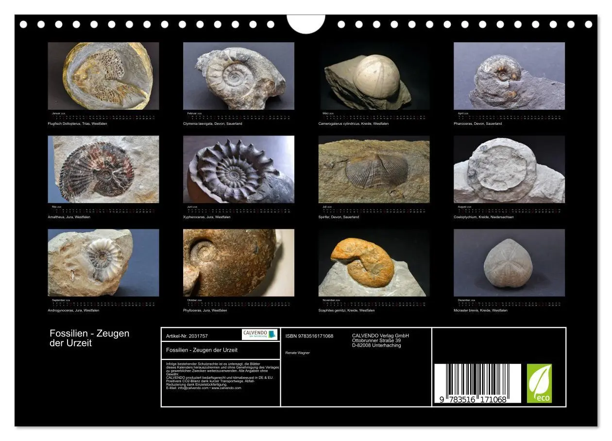 Bild: 9783516171068 | Fossilien - Zeugen der Urzeit (Wandkalender 2026 DIN A4 quer),...