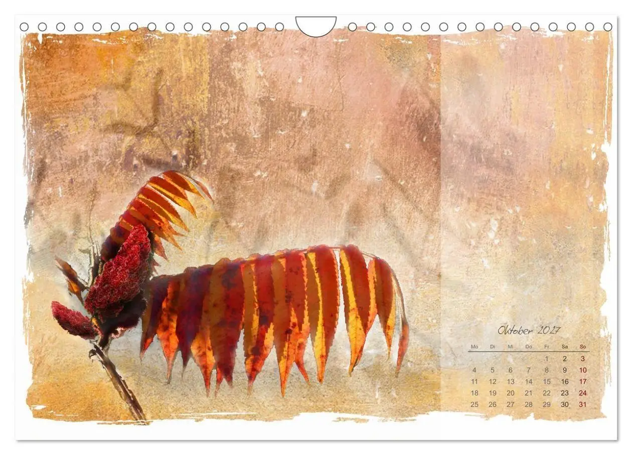 Bild: 9783516791068 | Natur und Farbe Fotografie trifft Aquarell (Wandkalender 2027 DIN...