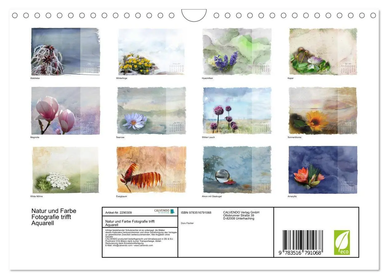 Bild: 9783516791068 | Natur und Farbe Fotografie trifft Aquarell (Wandkalender 2027 DIN...
