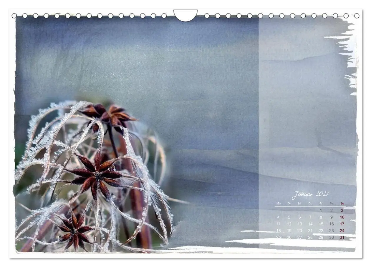 Bild: 9783516791068 | Natur und Farbe Fotografie trifft Aquarell (Wandkalender 2027 DIN...