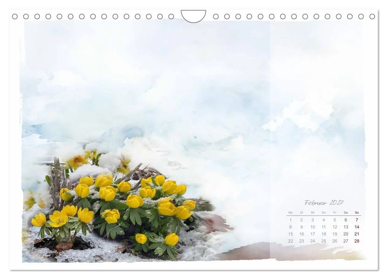 Bild: 9783516791068 | Natur und Farbe Fotografie trifft Aquarell (Wandkalender 2027 DIN...
