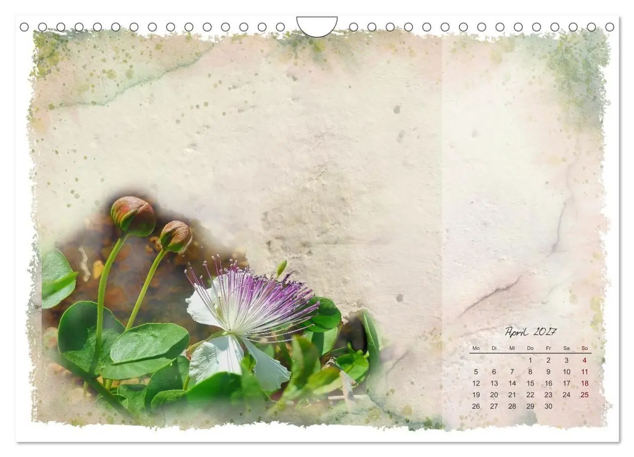 Bild: 9783516791068 | Natur und Farbe Fotografie trifft Aquarell (Wandkalender 2027 DIN...