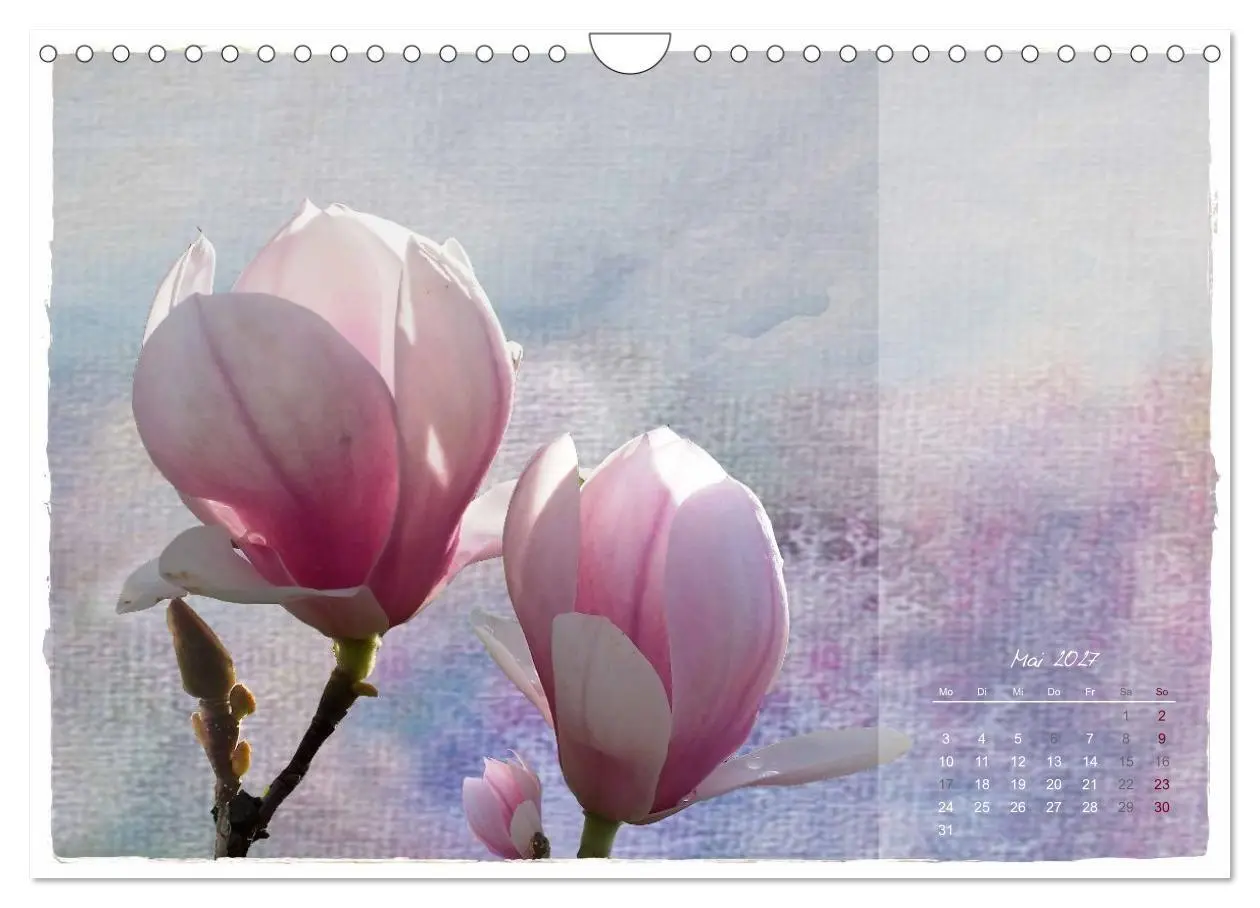 Bild: 9783516791068 | Natur und Farbe Fotografie trifft Aquarell (Wandkalender 2027 DIN...