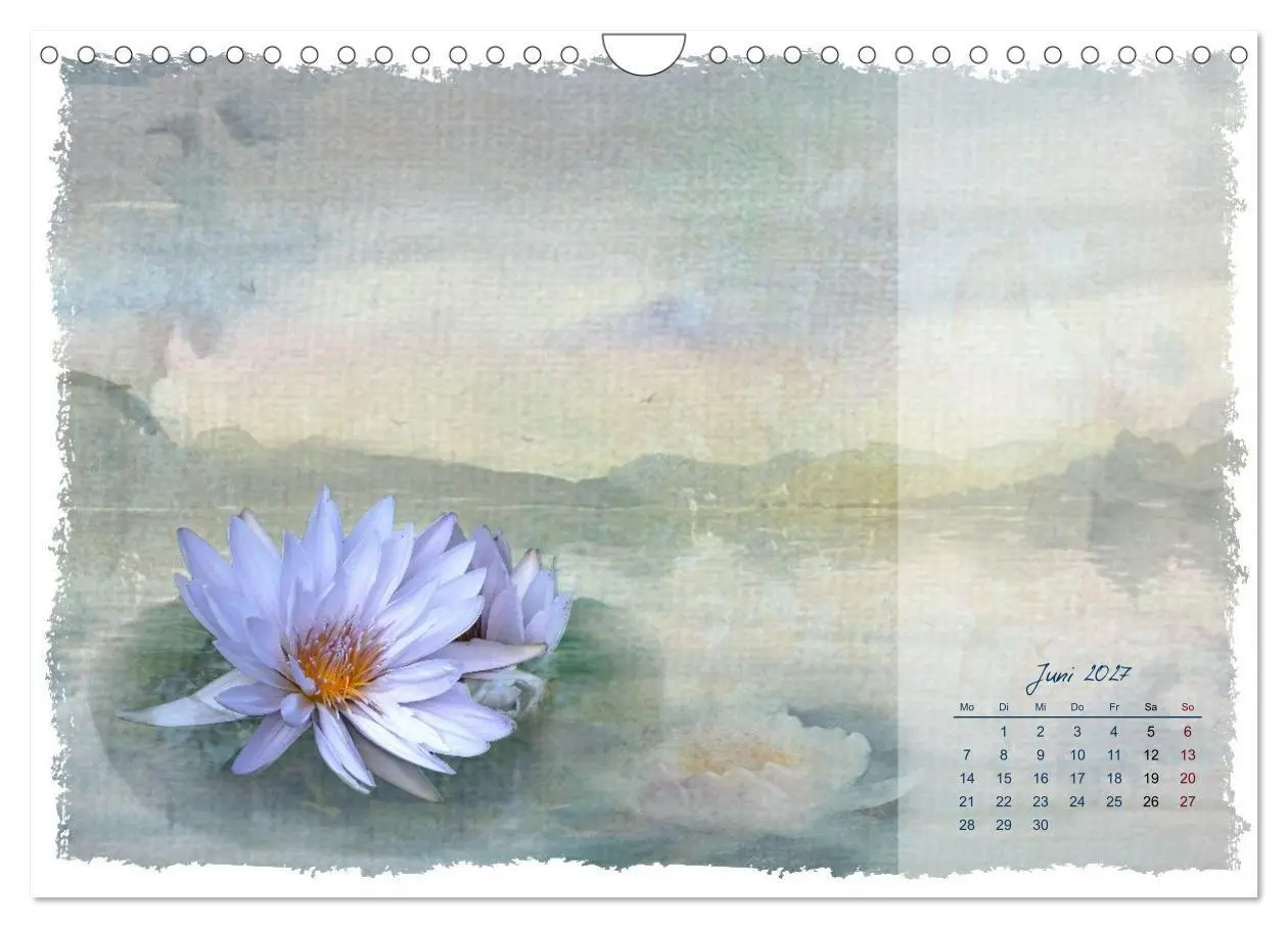 Bild: 9783516791068 | Natur und Farbe Fotografie trifft Aquarell (Wandkalender 2027 DIN...