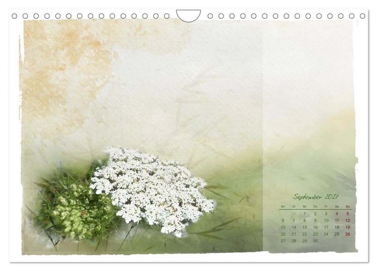 Bild: 9783516791068 | Natur und Farbe Fotografie trifft Aquarell (Wandkalender 2027 DIN...