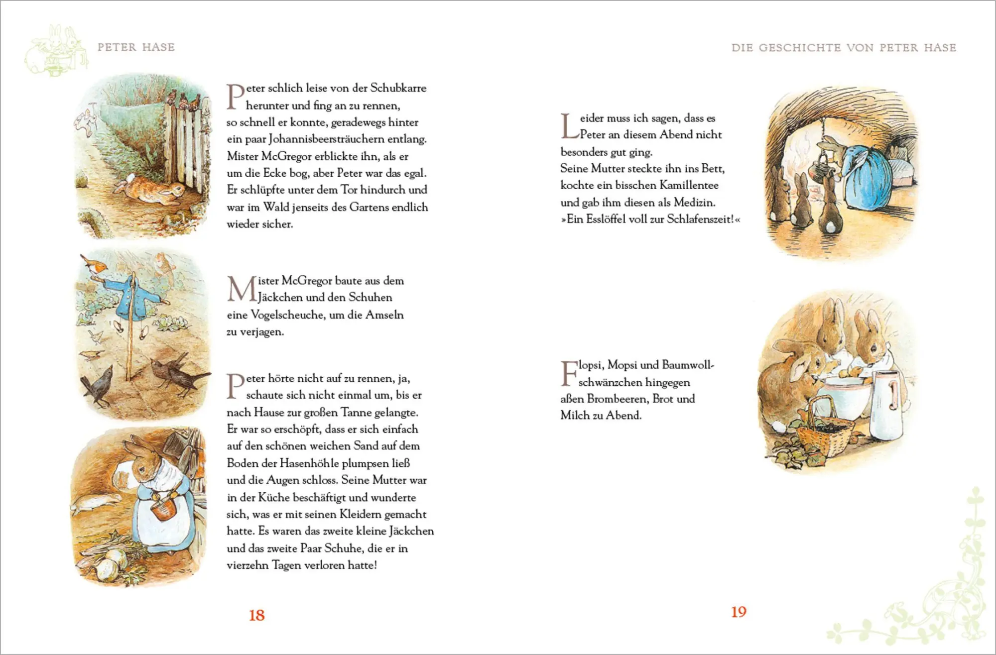 Bild: 9783730601068 | Peter Hase - Sämtliche Abenteuer | Beatrix Potter | Buch | 80 S.