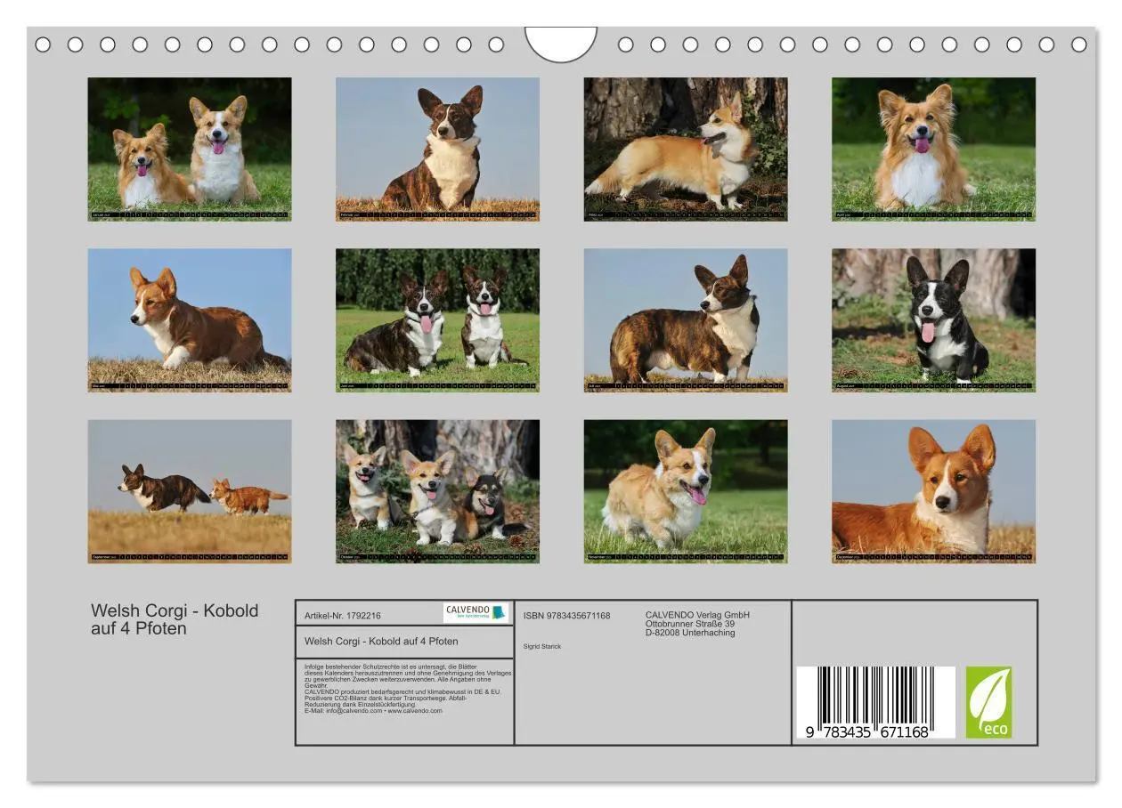 Bild: 9783435671168 | Welsh Corgi - Kobold auf 4 Pfoten (Wandkalender 2025 DIN A4 quer),...
