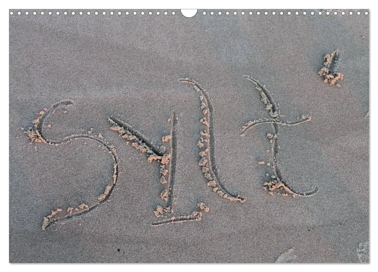 Cover: 9783516161168 | Sylt 2026 (Wandkalender 2026 DIN A3 quer), CALVENDO Monatskalender