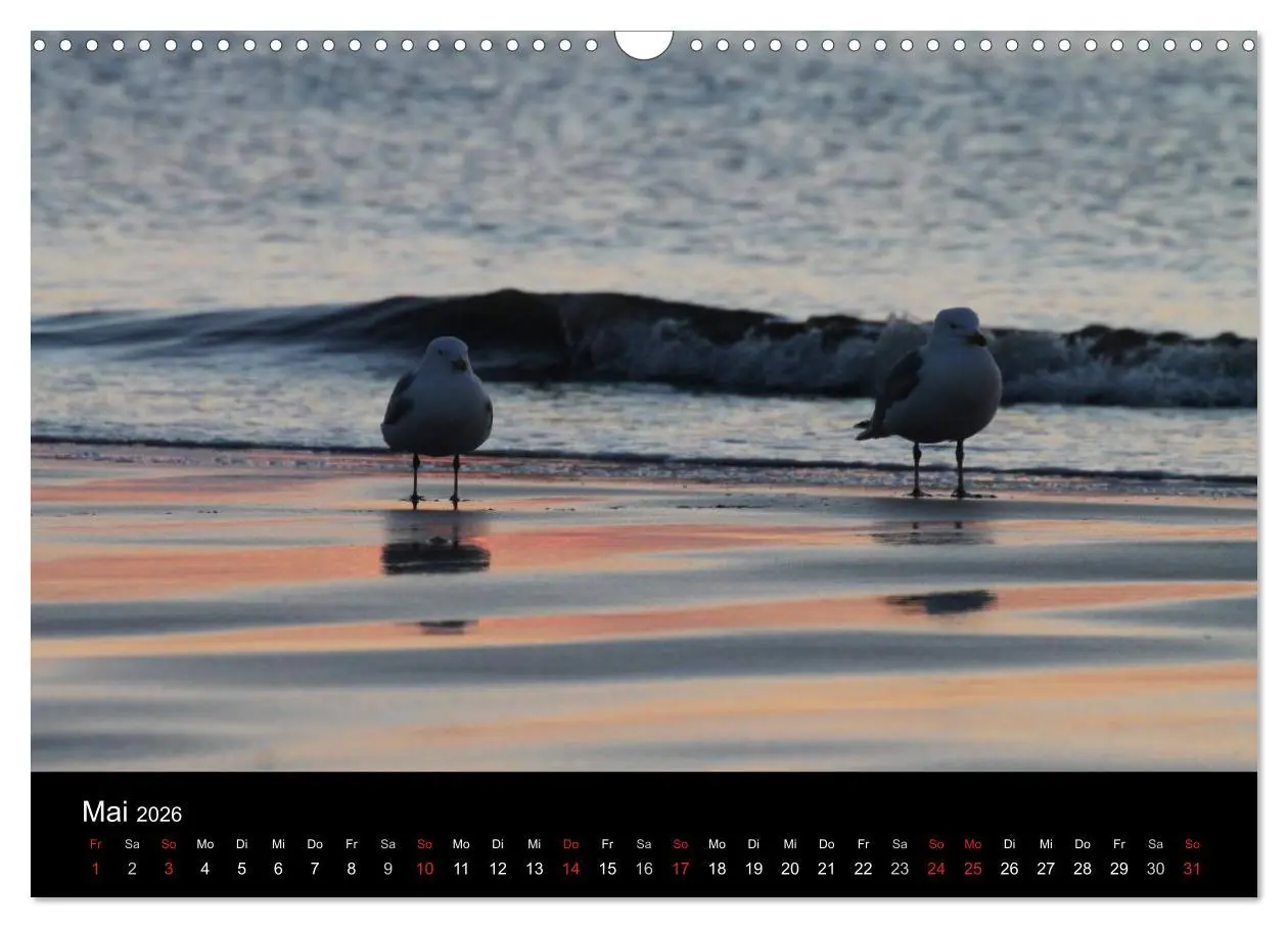Bild: 9783516161168 | Sylt 2026 (Wandkalender 2026 DIN A3 quer), CALVENDO Monatskalender