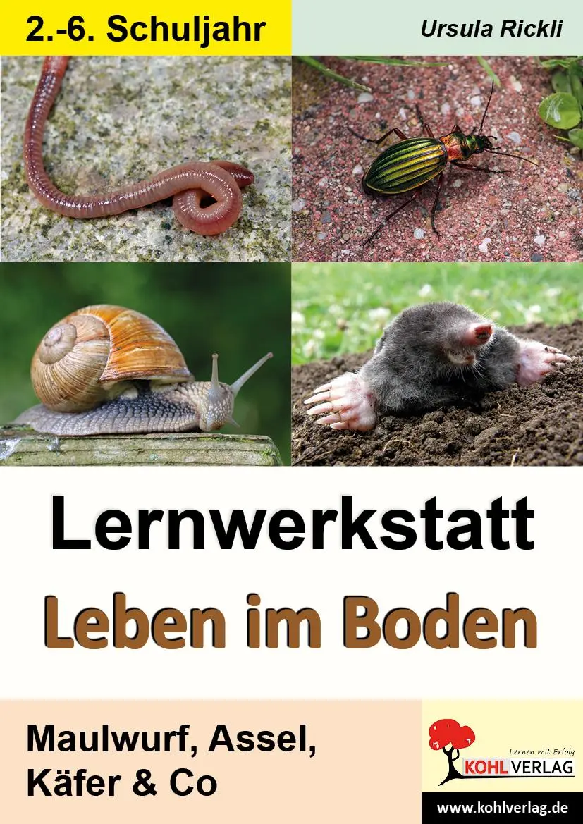 Cover: 9783866321168 | Lernwerkstatt Leben im Boden | Maulwurf, Assel, Käfer &amp; Co | Rickli