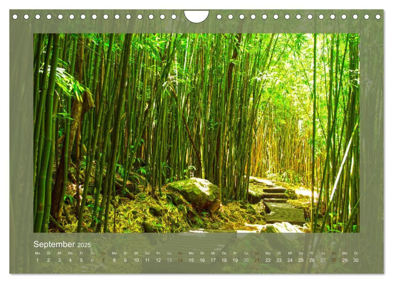 Bild: 9783435661268 | Bambus (Wandkalender 2025 DIN A4 quer), CALVENDO Monatskalender | 2025