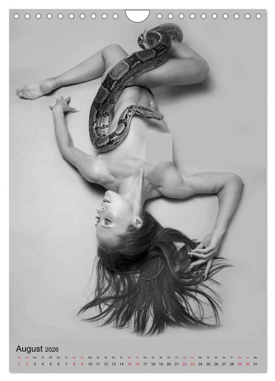 Bild: 9783516391268 | MS UNIVERSE (Wandkalender 2026 DIN A4 hoch), CALVENDO Monatskalender