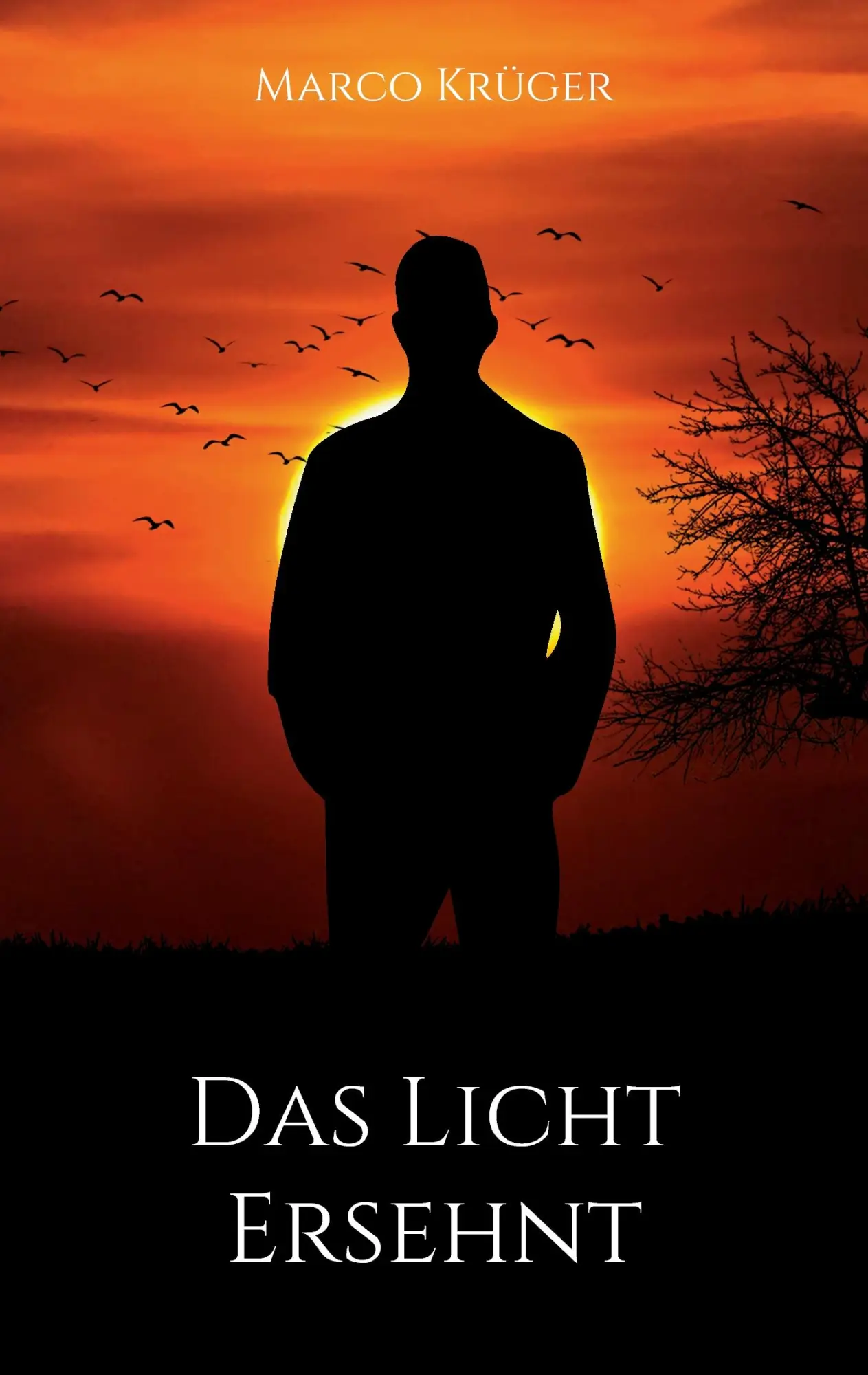 Cover: 9783743161368 | Das Licht ersehnt | Marco Krüger | Taschenbuch | 256 S. | Deutsch