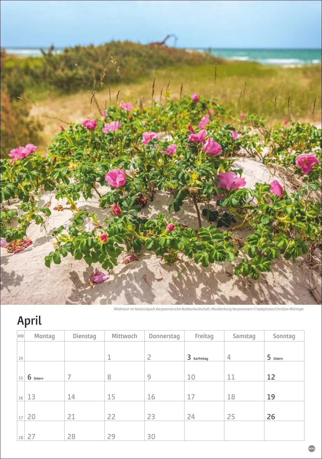 Bild: 9783756411368 | Deutschlands Küsten Kalender 2026 | Heye | Kalender | Spiralbindung