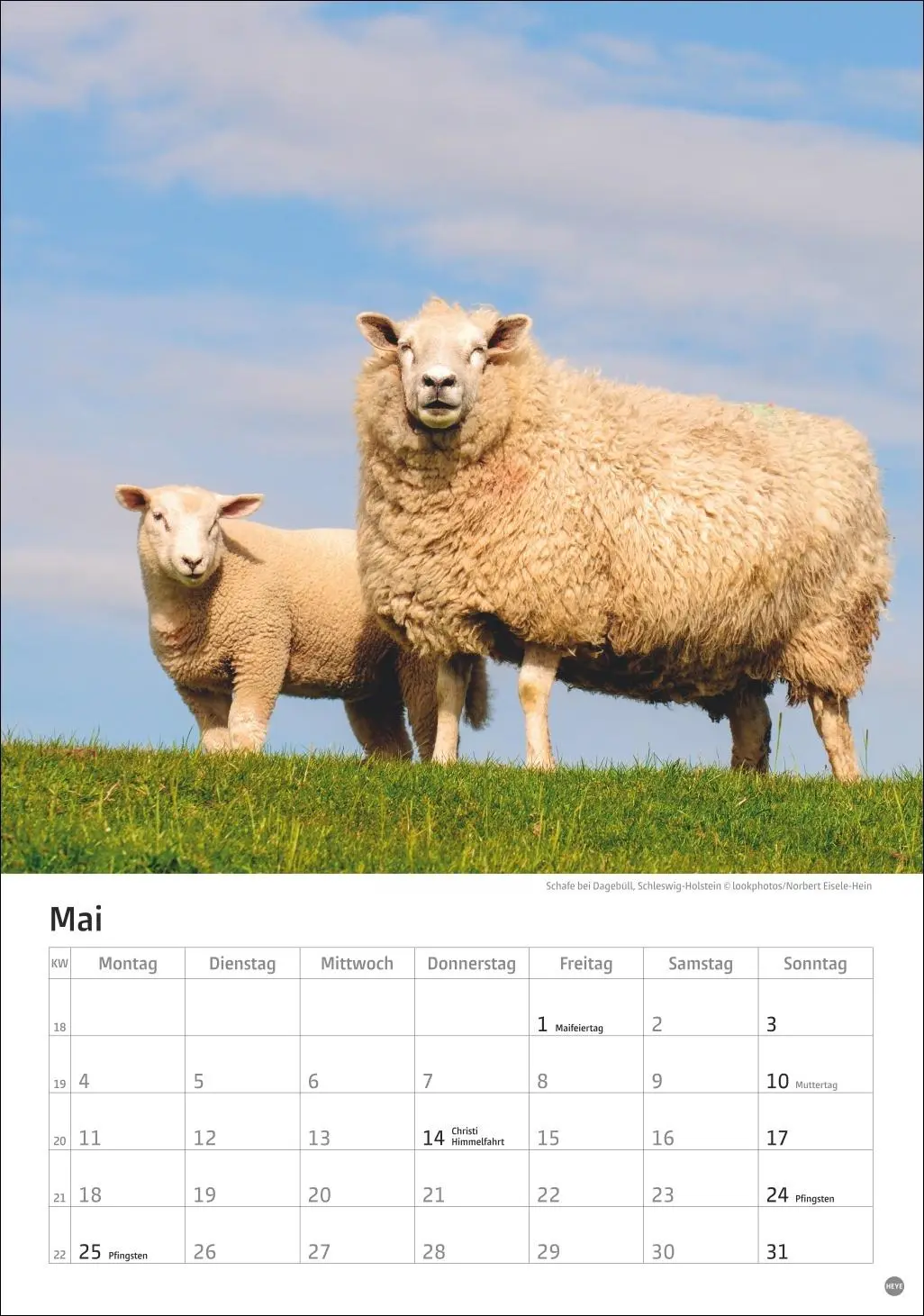 Bild: 9783756411368 | Deutschlands Küsten Kalender 2026 | Heye | Kalender | Spiralbindung