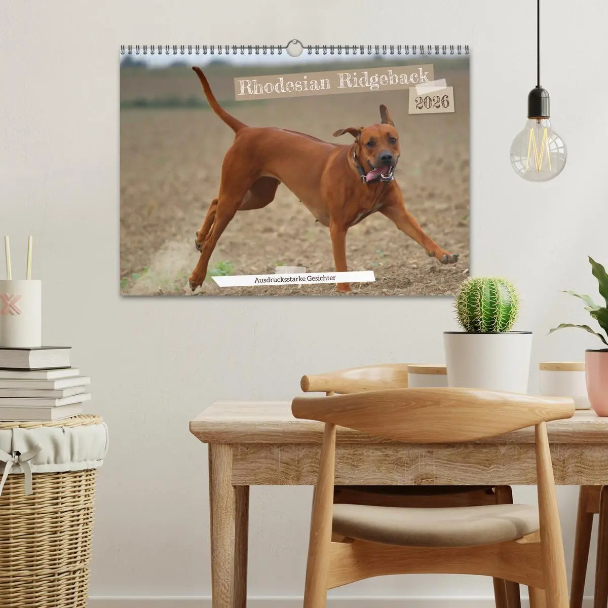 Bild: 9783457591468 | Rhodesian Ridgeback - Ausdrucksstarke Gesichter (Wandkalender 2026...