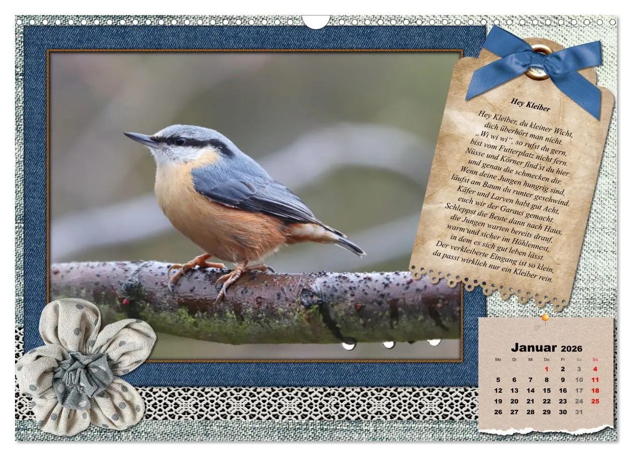 Bild: 9783457661468 | Der poetische Vogelkalender (Wandkalender 2026 DIN A3 quer),...