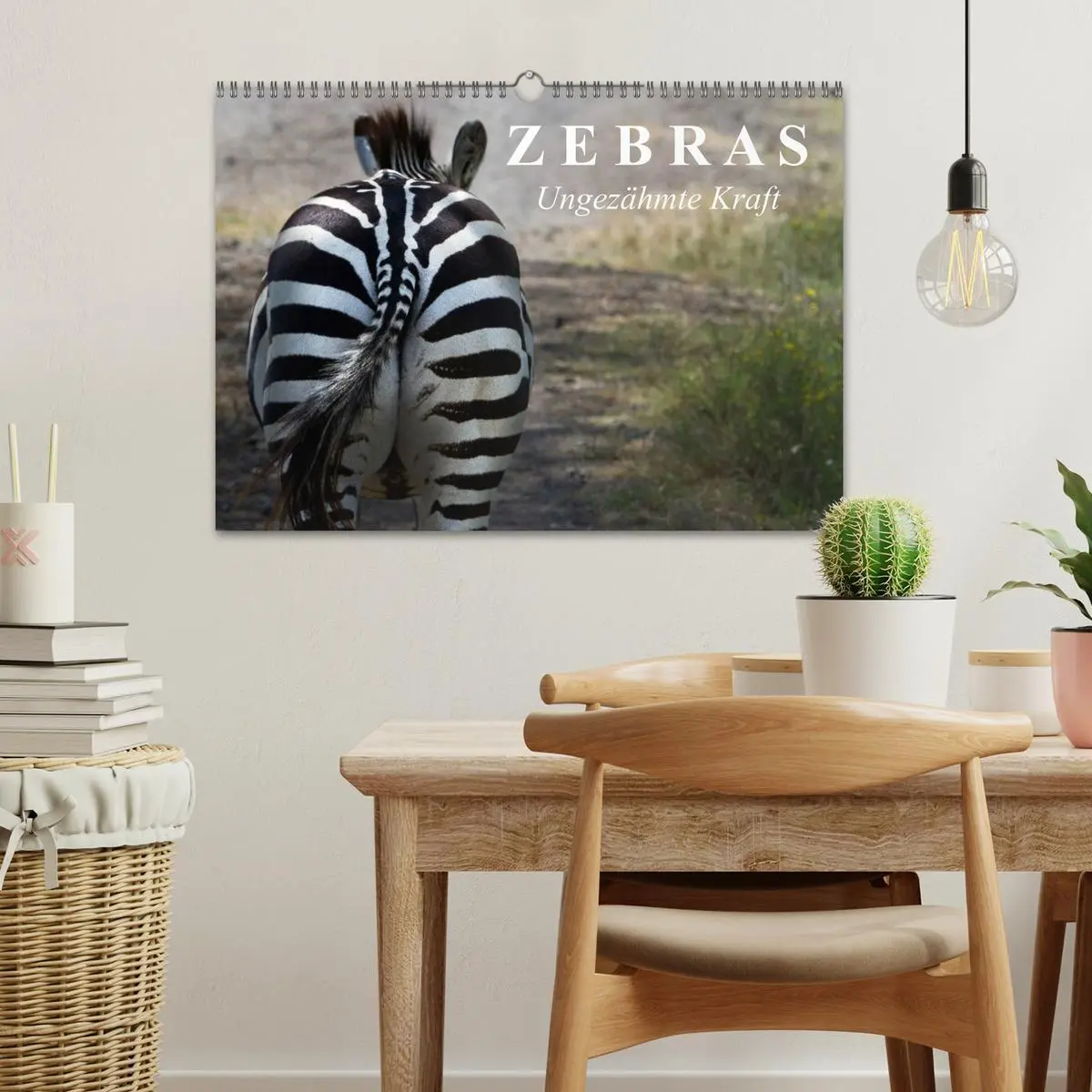 Bild: 9783516131468 | Zebras - Ungezähmte Kraft (Wandkalender 2026 DIN A3 quer), CALVENDO...