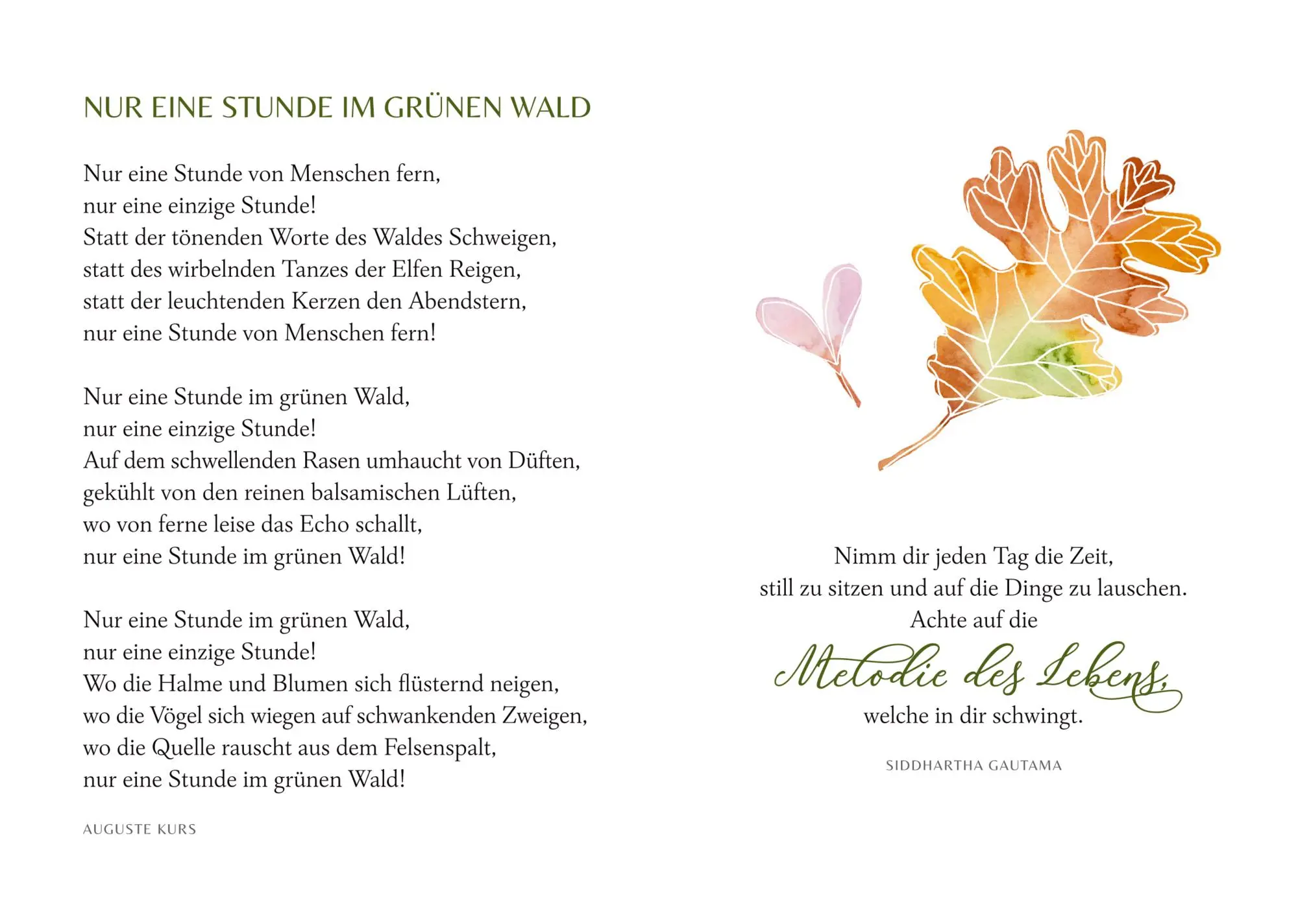 Bild: 9783649651468 | Wie ein Spaziergang im Wald | Gedichte &amp; Gedanken | Buch | 48 S.