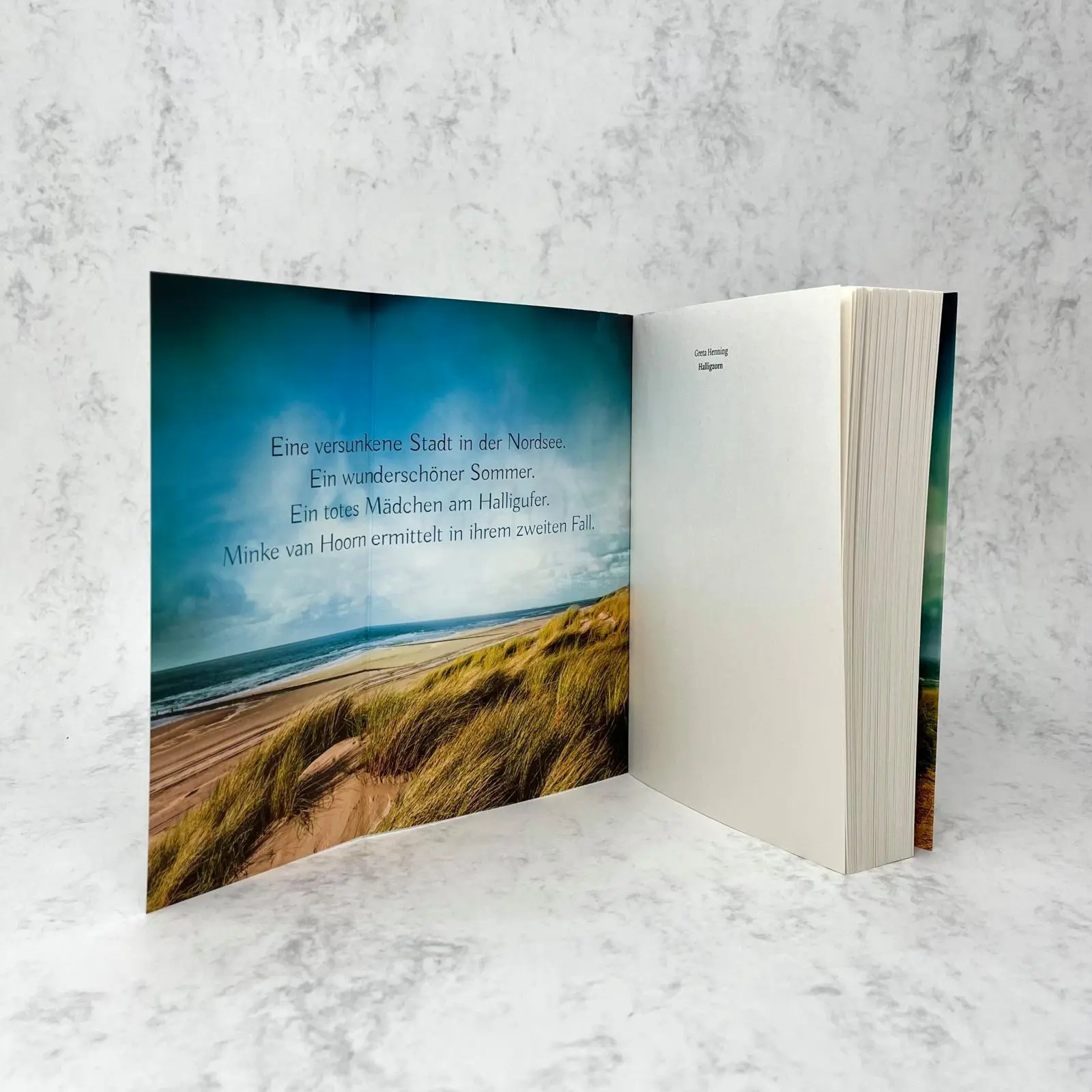 Bild: 9783864931468 | Halligzorn | Greta Henning | Taschenbuch | Ein Minke-van-Hoorn-Krimi