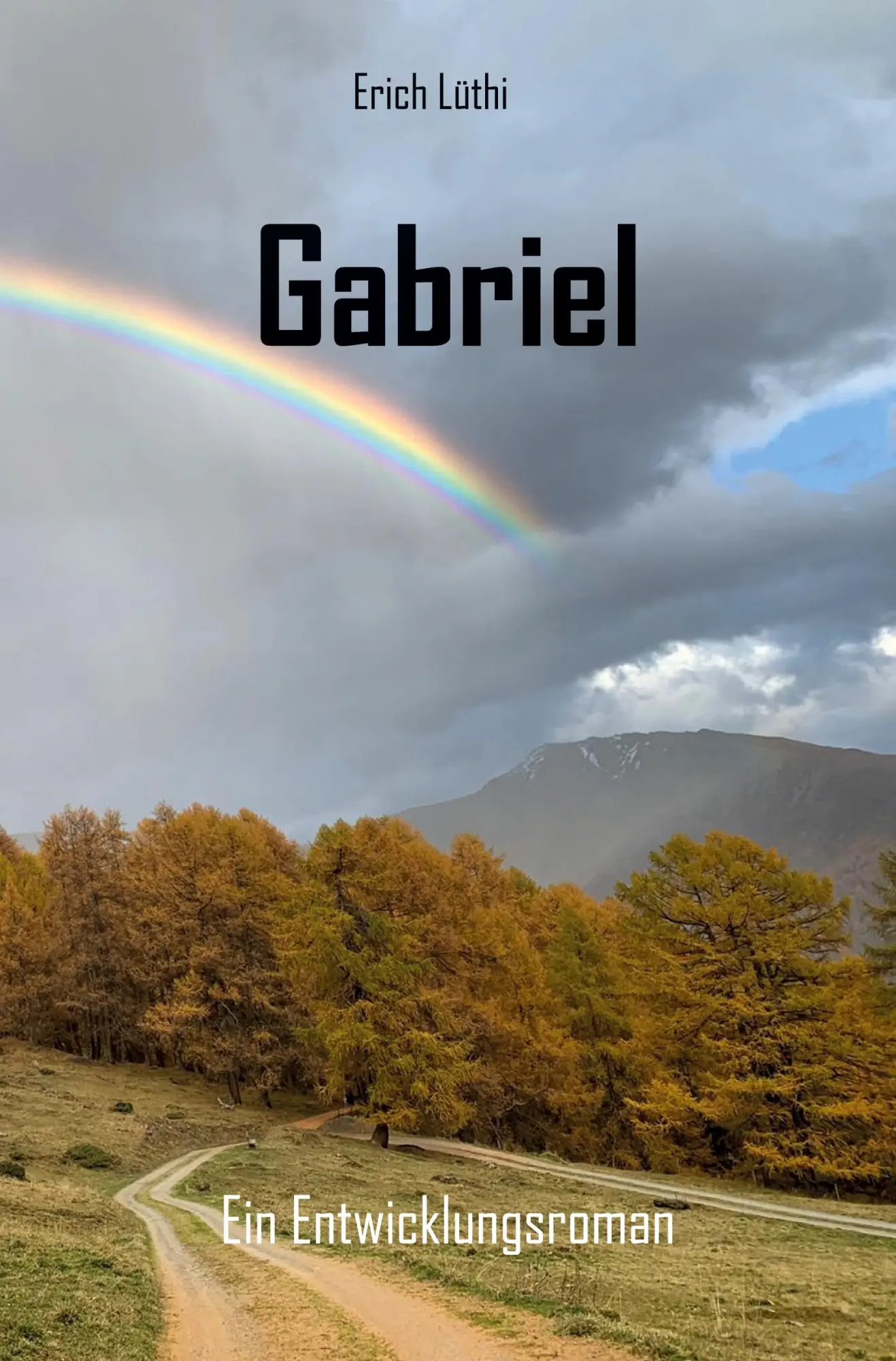 Cover: 9783988851468 | Gabriel | Ein Entwicklungsroman | Erich Lüthi | Taschenbuch | 240 S.
