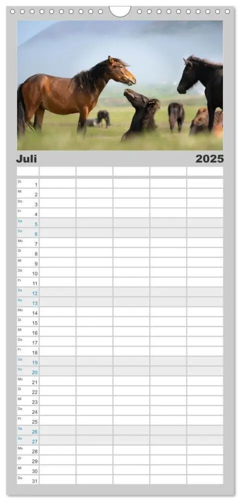 Bild: 9783457101568 | Familienplaner 2025 - Islandpferde Kalender - Pferde von der Insel...