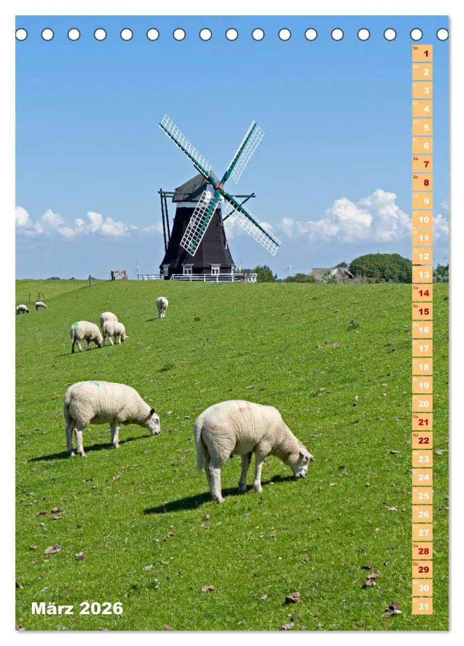 Bild: 9783516361568 | Deutschlands historische Windmühlen (Tischkalender 2026 DIN A5...