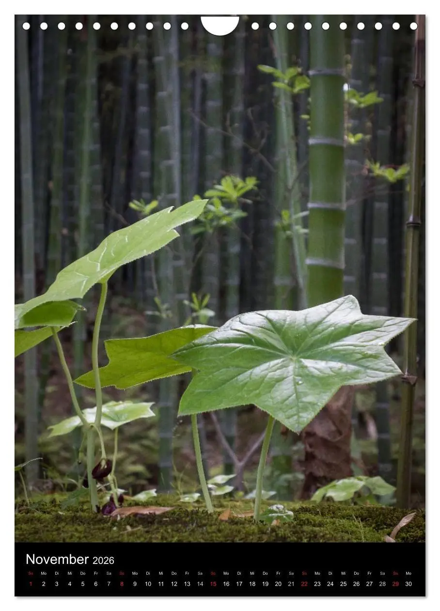 Bild: 9783516431568 | Japan im Blickpunkt (Wandkalender 2026 DIN A4 hoch), CALVENDO...