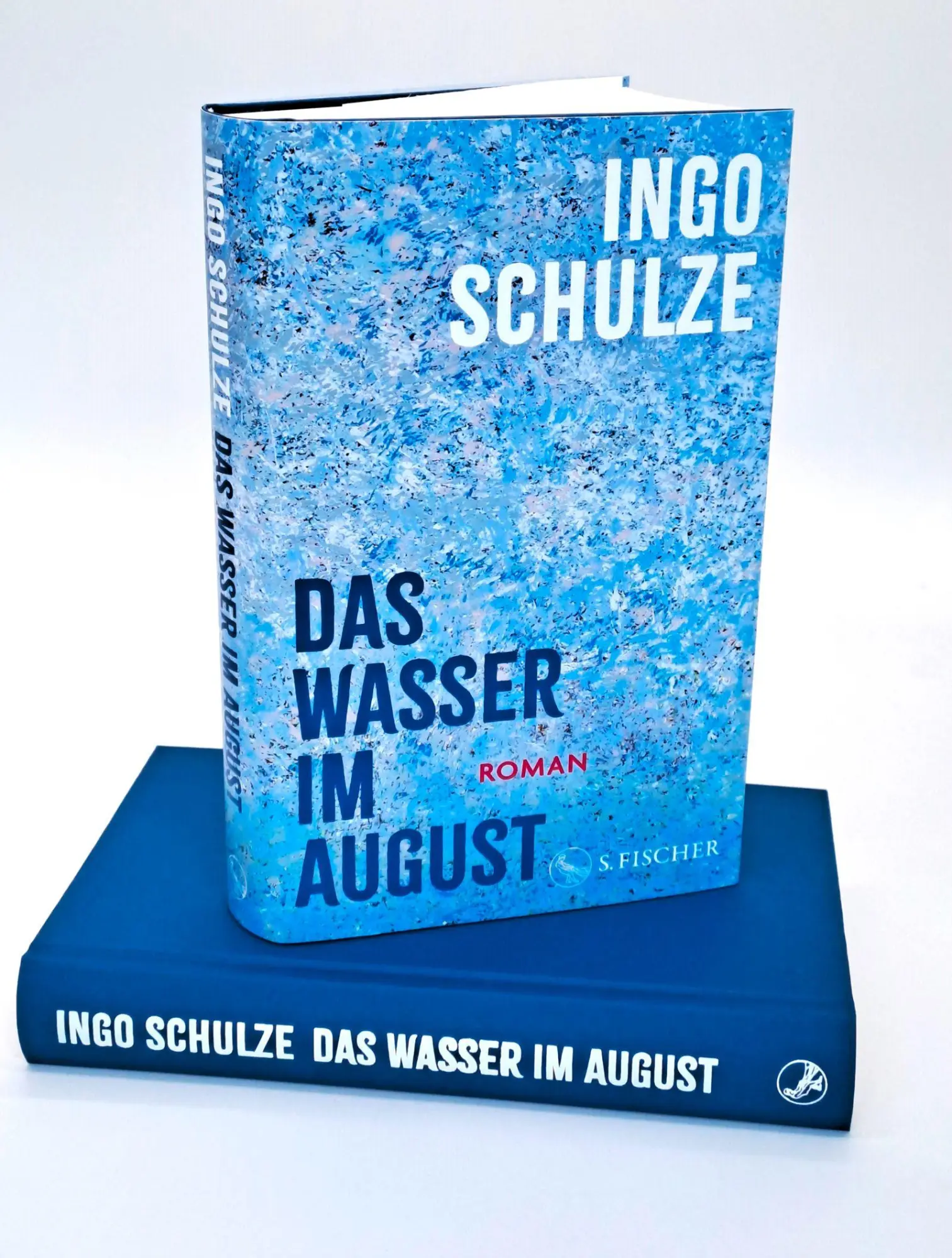 Bild: 9783103971668 | Das Wasser im August | Roman | Ingo Schulze | Buch | 320 S. | Deutsch