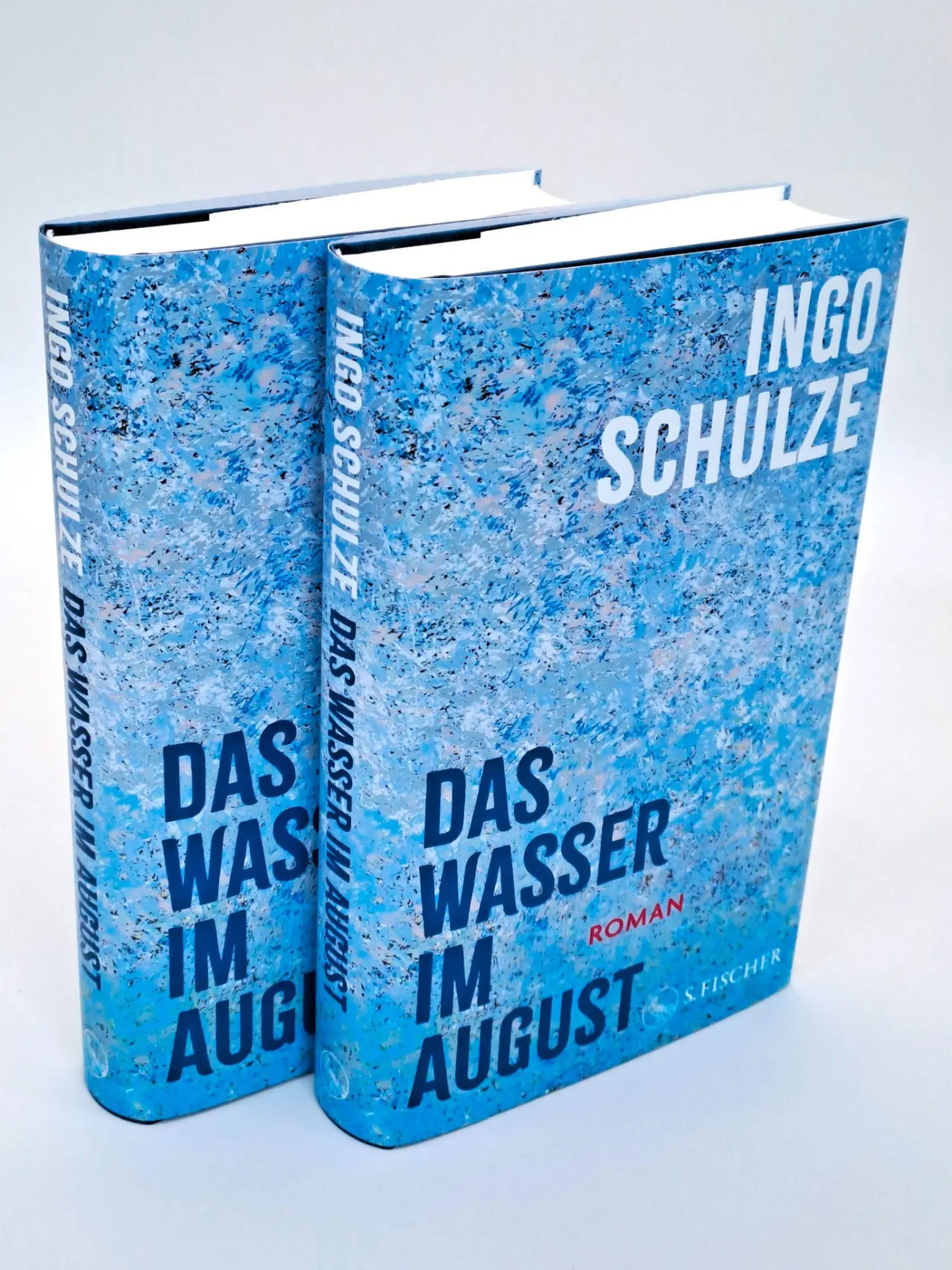 Bild: 9783103971668 | Das Wasser im August | Roman | Ingo Schulze | Buch | 320 S. | Deutsch