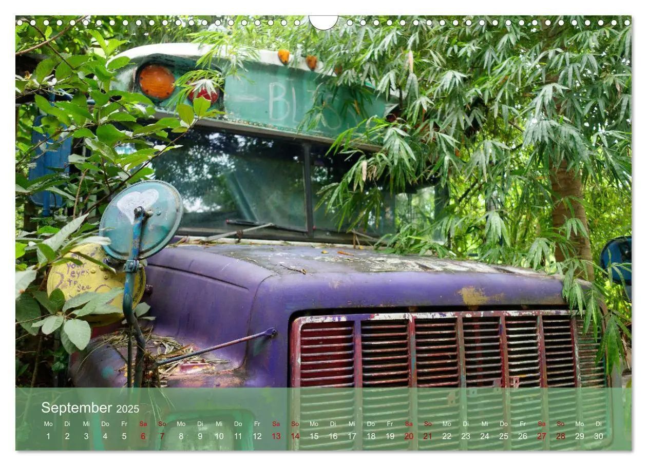 Bild: 9783383841668 | Entdecke Nicaragua (Wandkalender 2025 DIN A3 quer), CALVENDO...