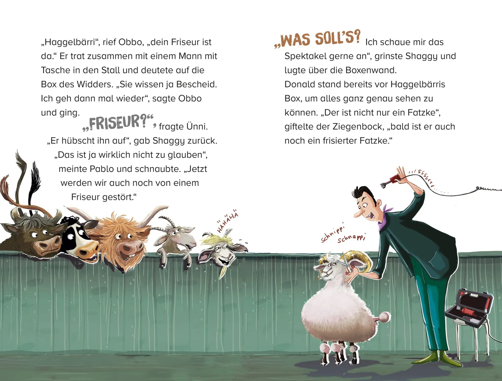 Bild: 9783734841668 | Helden der Weide - Haggelbärri Schlimm | Rosa Marin | Buch | 128 S.