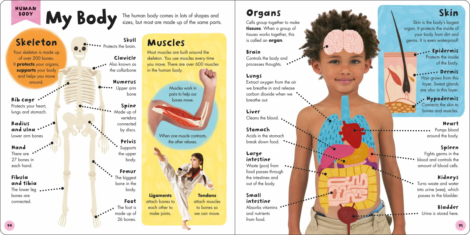 Bild: 9781838991968 | Priddy Learning: My First Encyclopedia | Priddy Books (u. a.) | Buch