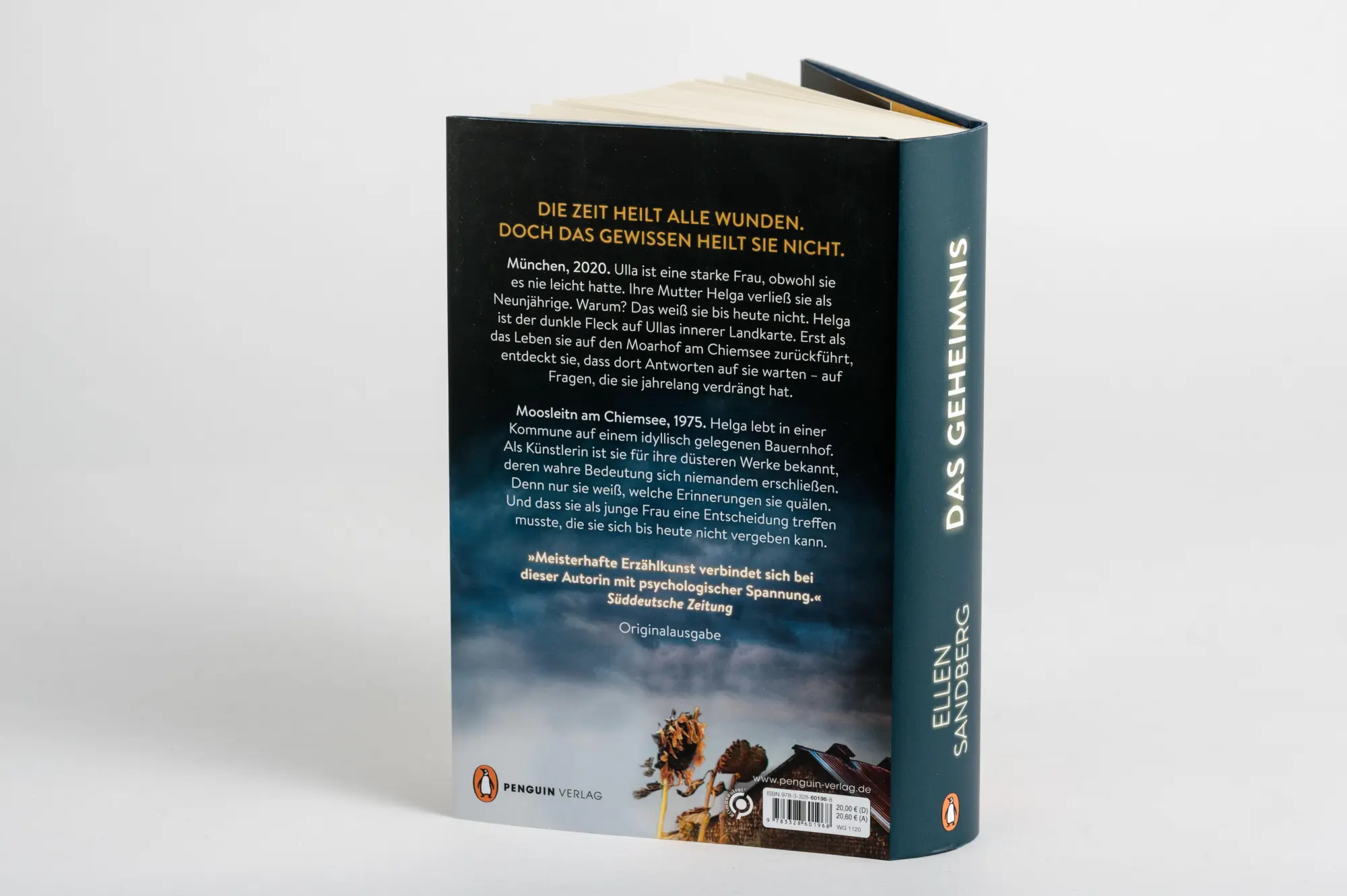 Bild: 9783328601968 | Das Geheimnis | Ellen Sandberg | Buch | 432 S. | Deutsch | 2021