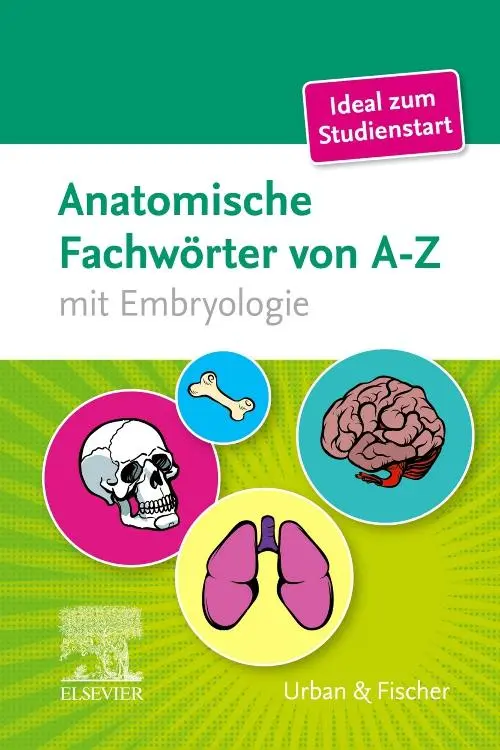 Cover: 9783437431968 | Anatomische Fachwörter von A-Z | mit Embryologie | Elsevier Gmbh | X