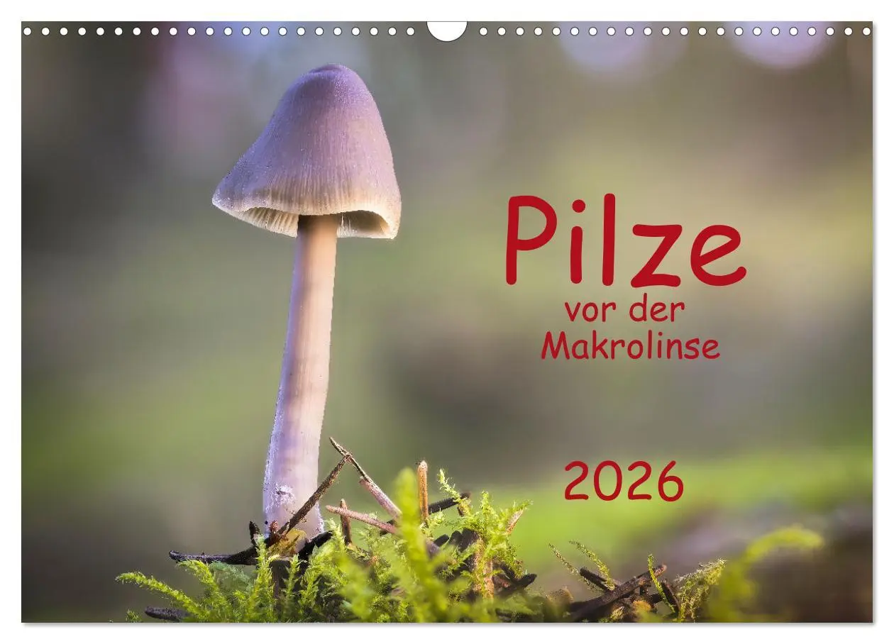 Cover: 9783457541968 | Pilze vor der Makrolinse 2026 (Wandkalender 2026 DIN A3 quer),...
