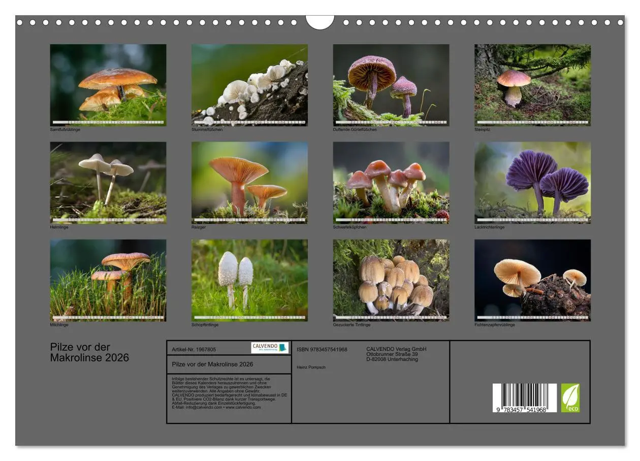 Bild: 9783457541968 | Pilze vor der Makrolinse 2026 (Wandkalender 2026 DIN A3 quer),...
