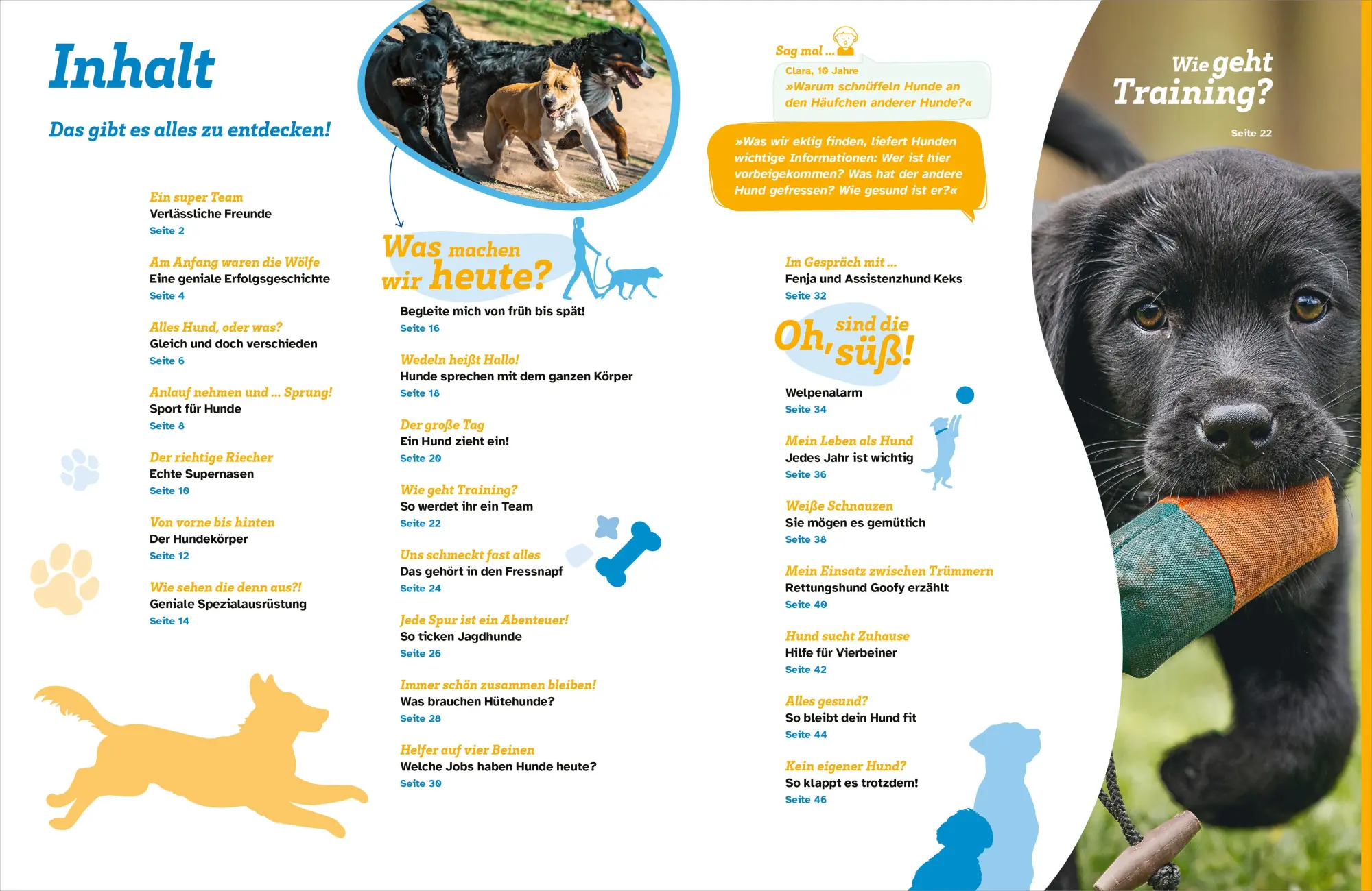 Bild: 9783788681968 | WAS IST WAS Hunde. Auf die Pfoten, fertig, los! | Christine Paxmann
